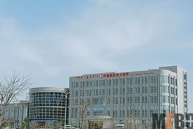 Inner Mongolia Yijinhuoluo Banner Mongolian Medicine Comprehensive Hospital